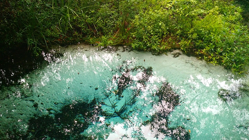 Água azul do Rio Sucuri